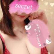 ヒメ日記 2025/04/17 17:49 投稿 古式みゆき Mの世界