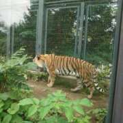 ヒメ日記 2025/05/03 07:33 投稿 古式みゆき Mの世界