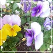 ヒメ日記 2025/07/30 14:15 投稿 古式みゆき Mの世界