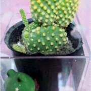 ヒメ日記 2025/10/04 13:39 投稿 古式みゆき Mの世界