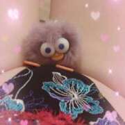 ヒメ日記 2025/10/22 10:18 投稿 古式みゆき Mの世界