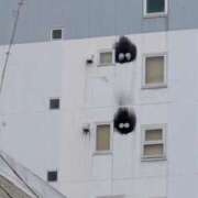 ヒメ日記 2026/04/17 11:33 投稿 古式みゆき Mの世界