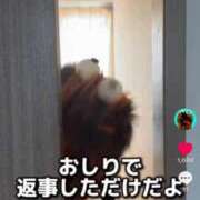 ヒメ日記 2026/08/05 14:40 投稿 古式みゆき Mの世界