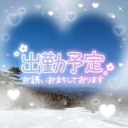 ヒメ日記 2026/03/13 17:42 投稿 小野 奈々 エレガンス(福島)