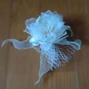 ヒメ日記 2025/03/13 16:50 投稿 小坂みどり 五十路マダム 浜松店(カサブランカグループ)