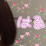 ヒメ日記 2025/04/10 07:44 投稿 小坂みどり 五十路マダム 浜松店(カサブランカグループ)