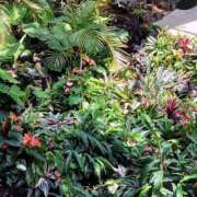 ヒメ日記 2025/05/09 13:00 投稿 小坂みどり 五十路マダム 浜松店(カサブランカグループ)