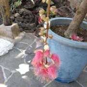 ヒメ日記 2025/05/10 20:00 投稿 小坂みどり 五十路マダム 浜松店(カサブランカグループ)