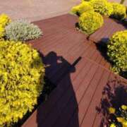 ヒメ日記 2025/05/13 14:02 投稿 小坂みどり 五十路マダム 浜松店(カサブランカグループ)