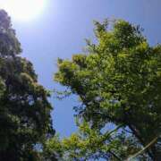 ヒメ日記 2025/05/14 14:26 投稿 小坂みどり 五十路マダム 浜松店(カサブランカグループ)