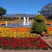 ヒメ日記 2025/05/16 13:22 投稿 小坂みどり 五十路マダム 浜松店(カサブランカグループ)