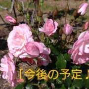 ヒメ日記 2025/05/19 14:06 投稿 小坂みどり 五十路マダム 浜松店(カサブランカグループ)