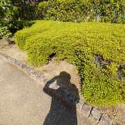 ヒメ日記 2025/05/22 07:38 投稿 小坂みどり 五十路マダム 浜松店(カサブランカグループ)