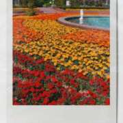 ヒメ日記 2025/06/01 08:52 投稿 小坂みどり 五十路マダム 浜松店(カサブランカグループ)