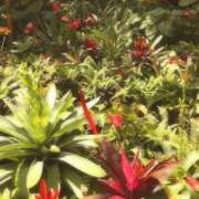 ヒメ日記 2025/06/11 13:00 投稿 小坂みどり 五十路マダム 浜松店(カサブランカグループ)