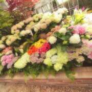 ヒメ日記 2025/06/28 13:04 投稿 小坂みどり 五十路マダム 浜松店(カサブランカグループ)