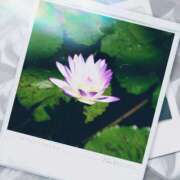 ヒメ日記 2025/06/30 22:38 投稿 小坂みどり 五十路マダム 浜松店(カサブランカグループ)