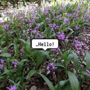 ヒメ日記 2025/07/03 07:40 投稿 小坂みどり 五十路マダム 浜松店(カサブランカグループ)