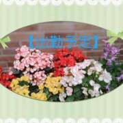 ヒメ日記 2025/07/13 19:34 投稿 小坂みどり 五十路マダム 浜松店(カサブランカグループ)