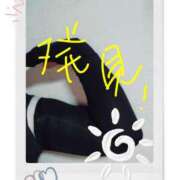 ヒメ日記 2025/07/31 13:08 投稿 小坂みどり 五十路マダム 浜松店(カサブランカグループ)