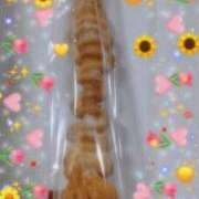 ヒメ日記 2025/09/17 22:20 投稿 小坂みどり 五十路マダム 浜松店(カサブランカグループ)