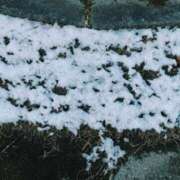 ヒメ日記 2026/01/03 09:38 投稿 小坂みどり 五十路マダム 浜松店(カサブランカグループ)