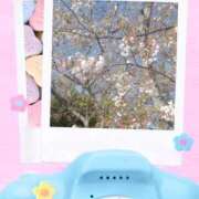 ヒメ日記 2026/03/27 11:54 投稿 小坂みどり 五十路マダム 浜松店(カサブランカグループ)