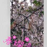 ヒメ日記 2026/04/05 22:18 投稿 小坂みどり 五十路マダム 浜松店(カサブランカグループ)