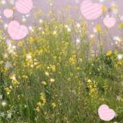 ヒメ日記 2026/04/06 13:58 投稿 小坂みどり 五十路マダム 浜松店(カサブランカグループ)