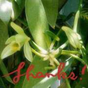 ヒメ日記 2026/04/13 13:02 投稿 小坂みどり 五十路マダム 浜松店(カサブランカグループ)