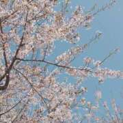 ヒメ日記 2026/04/26 14:00 投稿 小坂みどり 五十路マダム 浜松店(カサブランカグループ)