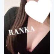 ヒメ日記 2024/12/29 10:30 投稿 らんか consolation