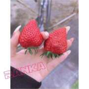 ヒメ日記 2025/01/19 09:36 投稿 らんか consolation