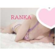 ヒメ日記 2025/04/18 10:03 投稿 らんか consolation