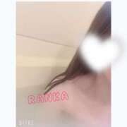 ヒメ日記 2025/04/25 09:46 投稿 らんか consolation