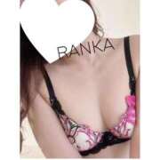 ヒメ日記 2025/05/20 08:07 投稿 らんか consolation