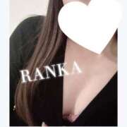 ヒメ日記 2025/05/20 08:12 投稿 らんか consolation