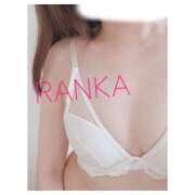 ヒメ日記 2025/07/17 08:25 投稿 らんか consolation