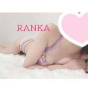 ヒメ日記 2025/10/29 08:48 投稿 らんか consolation