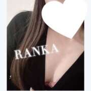 ヒメ日記 2025/11/26 09:44 投稿 らんか consolation