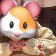 ヒメ日記 2025/02/14 08:24 投稿 まどか 西船人妻花壇