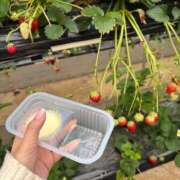 ヒメ日記 2025/03/18 17:01 投稿 まどか 西船人妻花壇