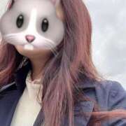 ヒメ日記 2025/04/10 08:08 投稿 まどか 西船人妻花壇