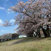 ヒメ日記 2025/04/13 10:56 投稿 まどか 西船人妻花壇