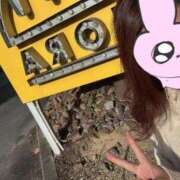 ヒメ日記 2025/11/29 10:03 投稿 まどか 西船人妻花壇