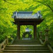 ヒメ日記 2025/06/03 20:01 投稿 れいか 奥鉄オクテツ神奈川店（デリヘル市場グループ）