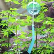 ヒメ日記 2025/08/15 17:14 投稿 れいか 奥鉄オクテツ神奈川店（デリヘル市場グループ）