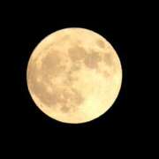 ヒメ日記 2025/08/16 00:15 投稿 れいか 奥鉄オクテツ神奈川店（デリヘル市場グループ）