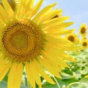 ヒメ日記 2025/08/26 19:31 投稿 れいか 奥鉄オクテツ神奈川店（デリヘル市場グループ）