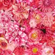 ヒメ日記 2025/08/26 23:49 投稿 れいか 奥鉄オクテツ神奈川店（デリヘル市場グループ）